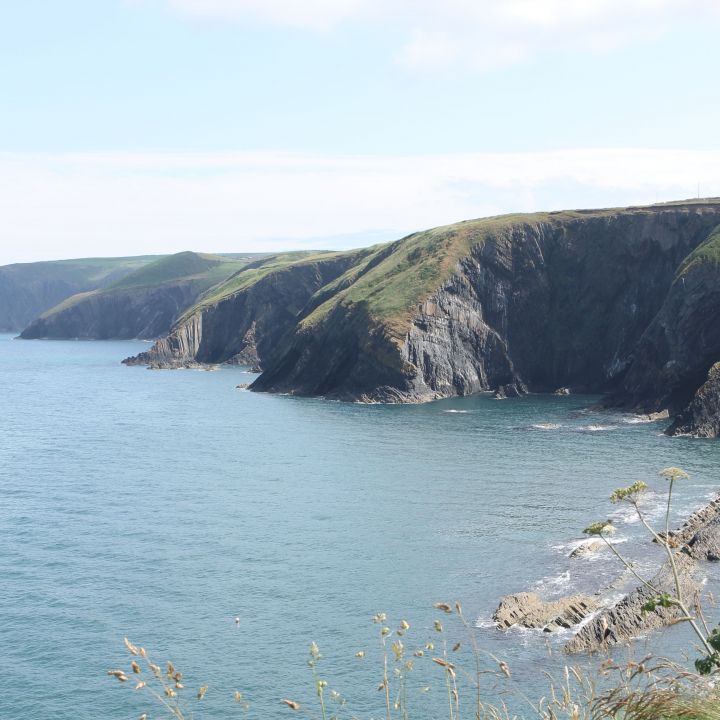 Ceibwr circular