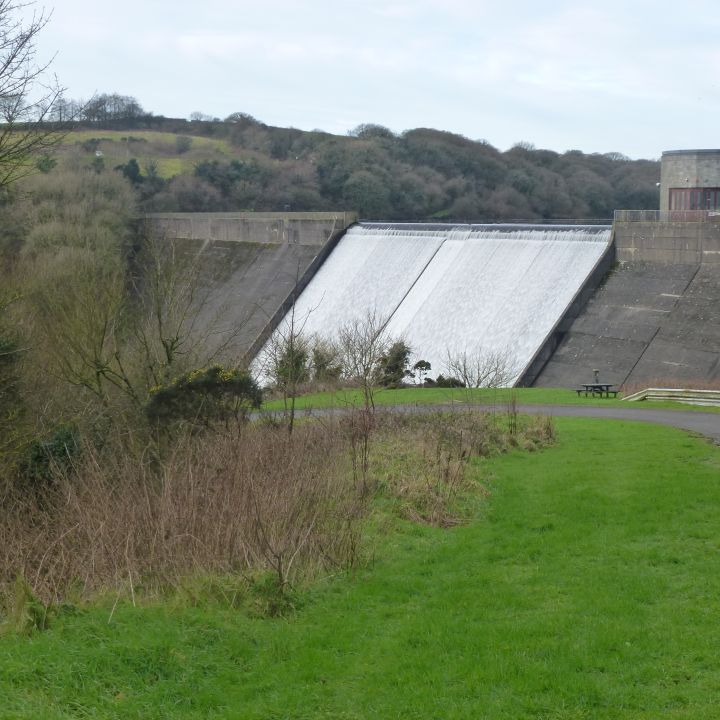 Llys y Fr&acirc;n Country Park and Reservoir