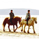 Horseriding - Crosswell Riding Stables