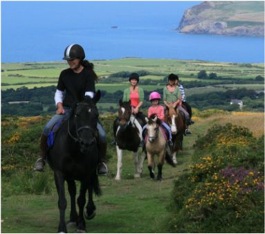 Horseriding - Havard Stables