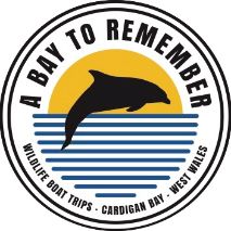 Boat trips and dolphin watching - A Bay To Remember