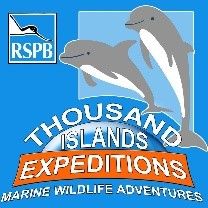 Boat Trips - Thousand Islands Expeditions