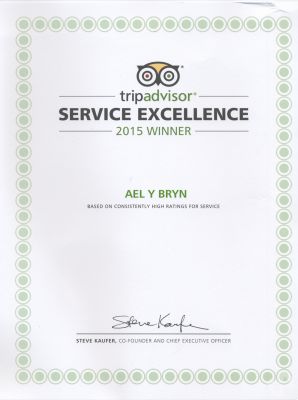 Trip Advisor Certificate of Excellence