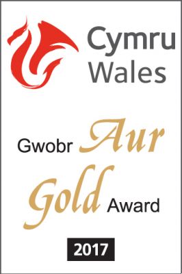 Gold Award 2017
